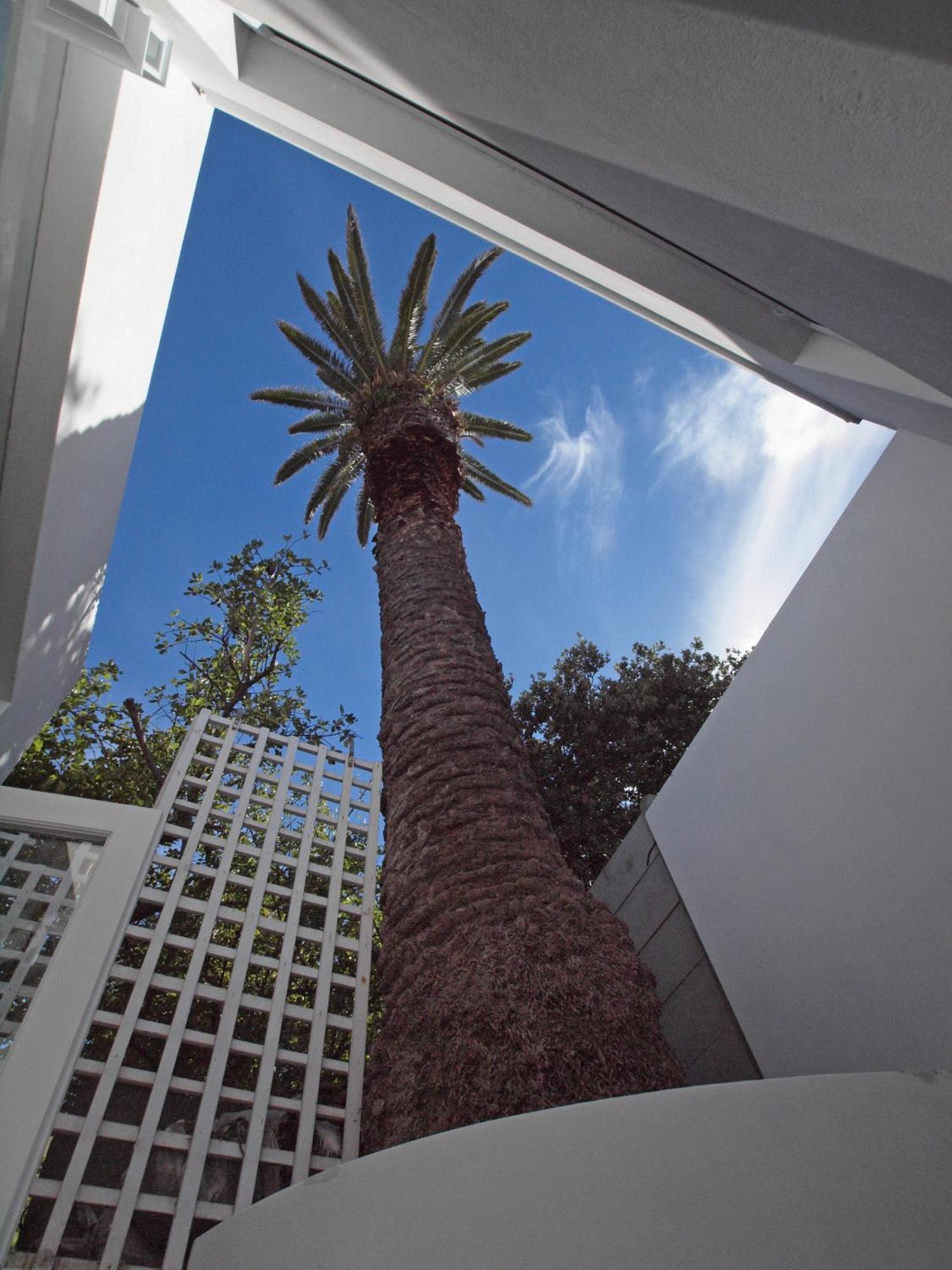 Bella Ev Guest House Muizenberg Eksteriør billede